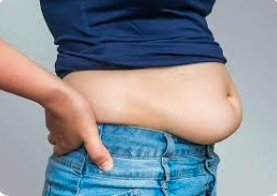 belly fat military diet