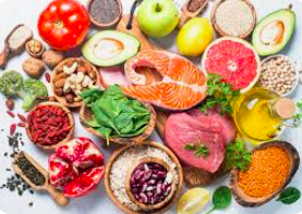 protein military diet