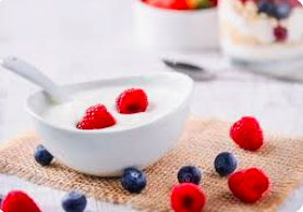 yogurt military diet